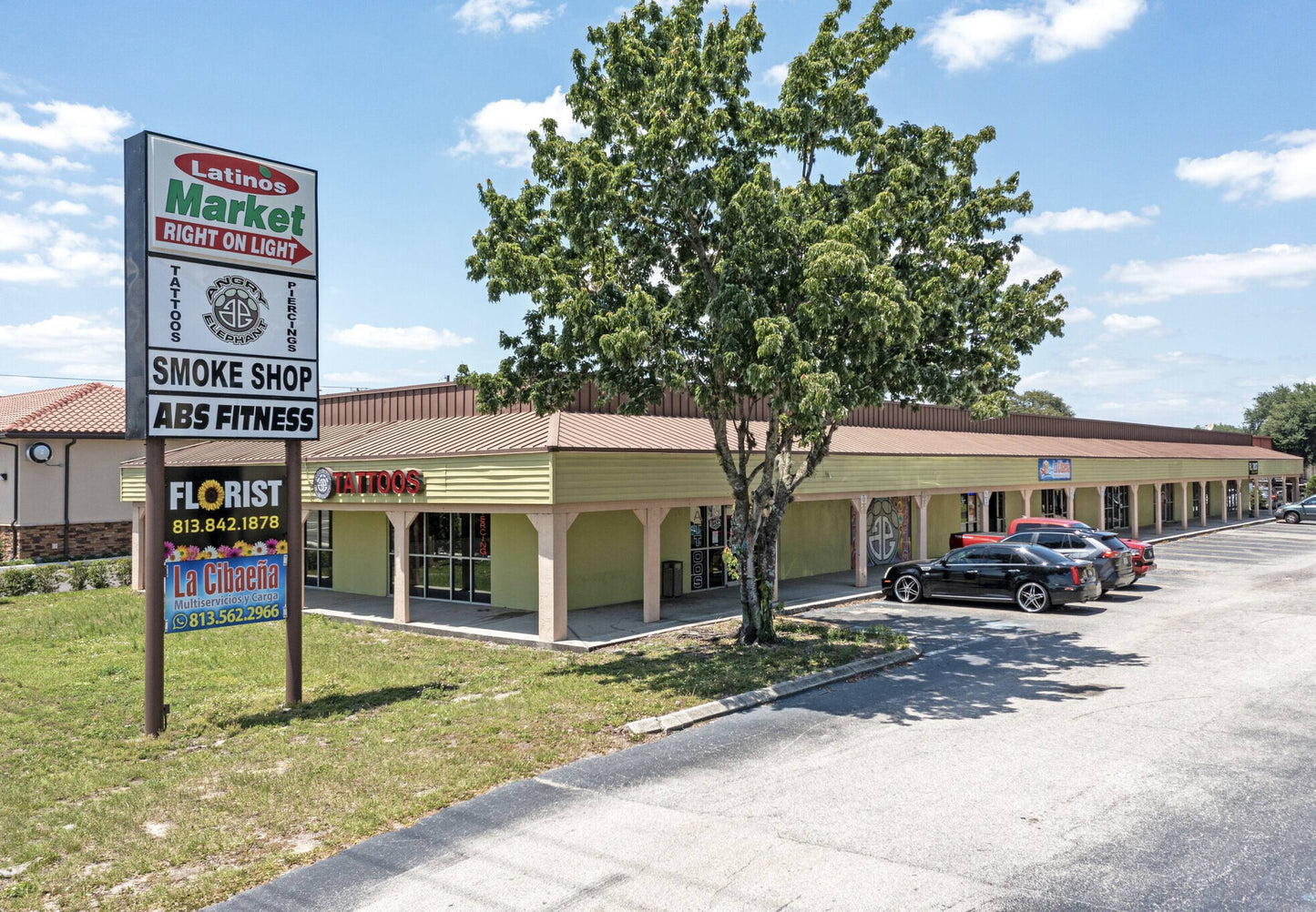 For Lease: 131 N Mt Carmel Rd, Valrico, FL 33594